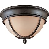 Minka Lavery Aspen II 976-1-138 Round 2 Light 120 watt (7