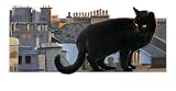 On the Tiles - Black Cat Blank Card