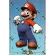 (24x36) Nintendo (Mario) Video Game Poster Print