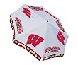 Wisconsin Badgers Market/Patio Umbrella 10ft Market/Patio Umbrella - U of Wisconsin - NCAA College A