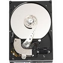 Western Digital 80 GB Caviar Blue SATA 7200 RPM 8 MB Cache Bulk/OEM Desktop Hard Drive WD800AAJS
