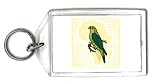 Keychain with budgie, winged, feather, beak, bird, animal