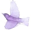 Lukeke Bird