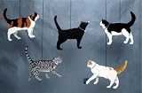 Cats Combo
