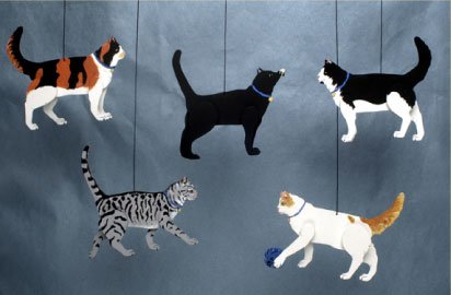 Cats Combo