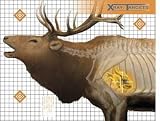 Search : Elk X-Ray Paper Target, 36"x30", 6ct
