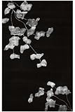 Gingko Rug 2'6x4'6 Black