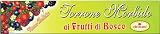 Oliviero Berry Torrone Bar