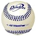 Search : All-Weather Baseball (Dozen)
