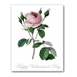 Rosier Mousseux - Valentine's Day Gift Enclosure Cards (set of 12)