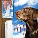 BARK BUSTER STOPS ANNOYING BARKING INSTANTLY
