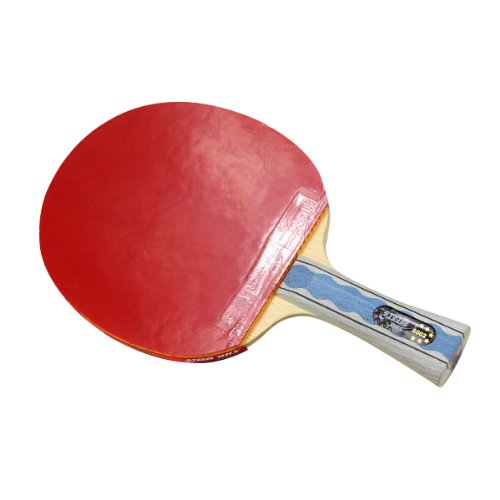 DHS X6002 (FL) New X-Series SUPERSTAR Table Tennis Racket