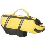 Agility Aqua Life Medium Vest American Kennel Club Junior Series