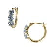 FOJO's 14K Gold Certified Genuine Blue Topaz Hoop Earrings