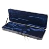 Schecter SGR-2A  Guitar Case