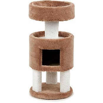 PETCO Kitty Suite Cat Post