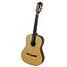 Harmony Deluxe Classical Acoustic Guitar