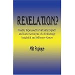 R.E.V.E.L.A.T.I.O.N.?: Reality Expressed by Virtually Explicit and Lurid Acronyms of a Titillatingly Insightful and Offensive Nature book cover