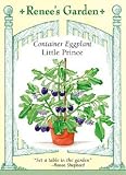 Container Eggplant Seeds Little Prince 41IeAA4ZJQL. SL160 Container Eggplant Seeds Little Prince