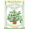 Container Eggplant Seeds - Little Prince