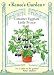 Container Eggplant Seeds - Little Prince