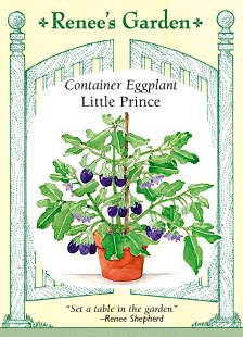 Container Eggplant Seeds - Little Prince Container Eggplant Seeds - Little Prince