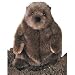 Plush Chuckwood Groundhog 11