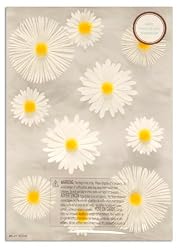 Martha Stewart Crafts 3 Dimensional Stickers Daisy Glossary White/Yellow By The Package