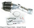 Weapon R Short Ram Dragon Intake for BMW E36 3 SERIES 1992-2004 Color:Polish
