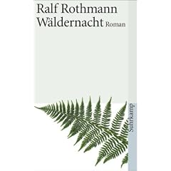 W�ldernacht: Roman (suhrkamp taschenbuch)