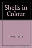 Shells in colour