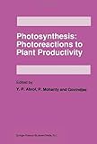 Photosynthesis : photoreactions to plant productivity