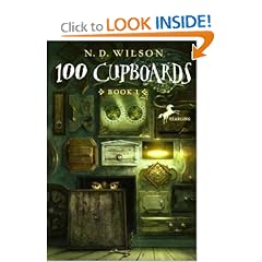 100 Cupboards: Book 1 (The 100 Cupboards)