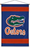 NCAA Florida Gators Sidelines Wall Hang