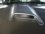 Wade 14001 Hood Scoop Large Single Smooth Finish - universal