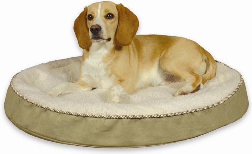 Childrens Toyshop  Sporting Goods : Gel Pedic Orthopedic Repel-a-Flea 30
