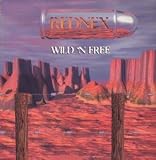 WILD N FREE 12" SINGLE UK INTERNAL AFFAIRS 1995 4 TRACK ORIGINAL EXTENDED B/W REMIX EXTENDED,RHYTHM ON THE LOOSE REMIX AND INSTRUMENTAL (KGBT024) BUT HAS WEAR ON EDGES OF PIC SLEEVE