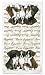 Boxers Boxer Puppies Kitchen Towels Set/2
