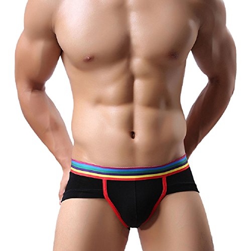 Sandistore Men's Sexy Modal Underwear shorts boxers underpants Soft Briefs (M, Black)
