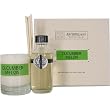 Cucumber Melon Archipelago Botanicals Votive Candle and Diffuser Mini Gift Set
