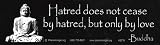 Buddha Bumper Sticker ~ Hatred does not cease by hatred, but only by love ~ Rare Authentic Bumper Sticker!!!