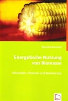 Energetische Nutzung von Biomasse: Methoden, Chancen und Realisierung