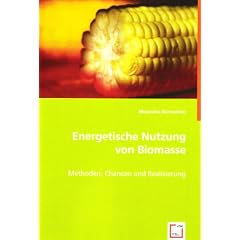 Energetische Nutzung von Biomasse: Methoden, Chancen und Realisierung