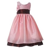 Toddler Little Girls Clothes PINK BROWN DOT Flower Girl Dress GOOD GIRL 2T-10