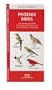 Phoenix Birds: An Introduction to Familiar Species in the Valley of the Sun (US City Nature Guides)