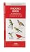 Phoenix Birds: An Introduction to Familiar Species in Central Arizona