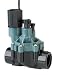Rain Bird 3/4-Inch Sprinkler System Automatic In-Line Valve With Flow Control #CPF075