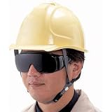 遮光メガネ ＃5 No.337W