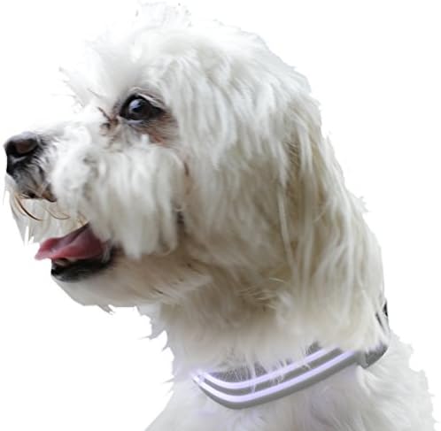 PetsLine Black Rechargeable Safety Adjustable LED Light Up Flashing Dog Collar