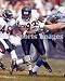 Adewale Ogunleye Chicago Bears 8x10 Photo